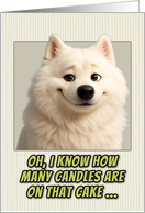 Samoyed Dog Humorous Getting Older Birthday card