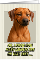 Rhodesian Ridgeback Dog Humorous Getting Older Birthday card