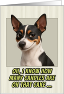 Rat Terrier Dog Humorous Getting Older Birthday card