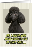 Poodle Dog Humorous Getting Older Birthday card