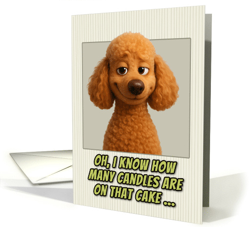 Poodle Dog Humorous Getting Older Birthday card (1945722)
