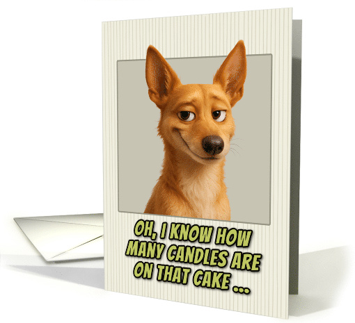 Portuguese Podengo Dog Humorous Getting Older Birthday card (1945908)