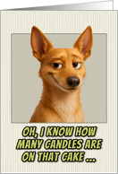 Portuguese Podengo Dog Humorous Getting Older Birthday card