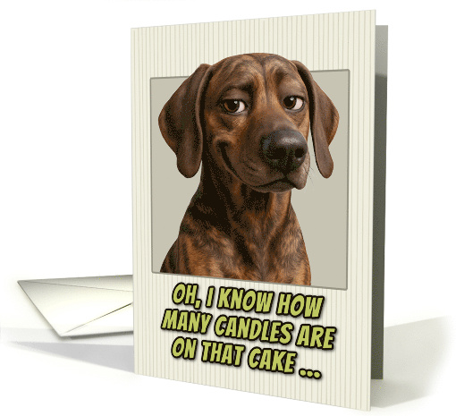 Plott Hound Humorous Getting Older Birthday card (1945914)