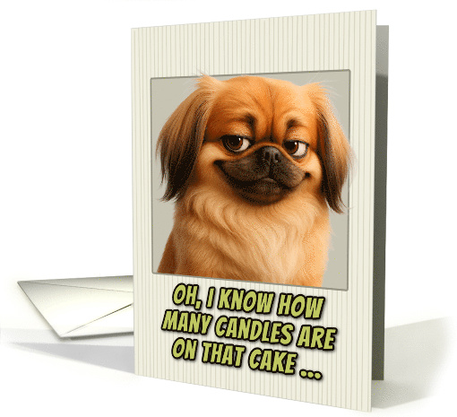 Pekingese Dog Humorous Getting Older Birthday card (1945916)