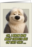 Old English Sheepdog Humorous Getting Older Birthday card