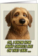 Otterhound Humorous Getting Older Birthday card