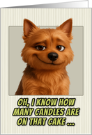 Norwich Terrier Dog Humorous Getting Older Birthday card