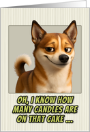 Norwegian Lundehund Humorous Getting Older Birthday card