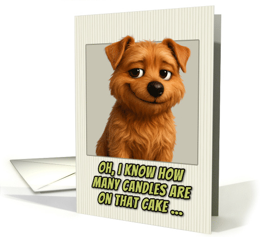Norfolk Terrier Dog Humorous Getting Older Birthday card (1946100)
