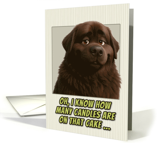 Newfoundland Dog Humorous Getting Older Birthday card (1946102)