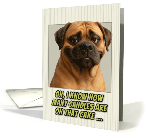 Mastiff Dog Humorous Getting Older Birthday card (1946106)