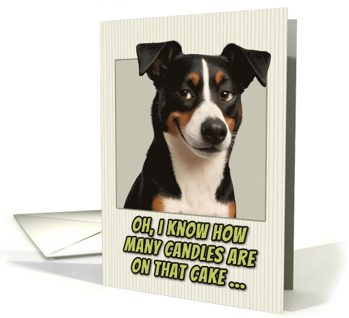 McNab Dog Humorous Getting Older Birthday card (1946108)