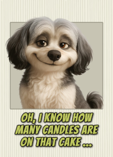 Lowchen Dog Humorous Getting Older Birthday