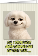 Maltese Dog Humorous Getting Older Birthday card