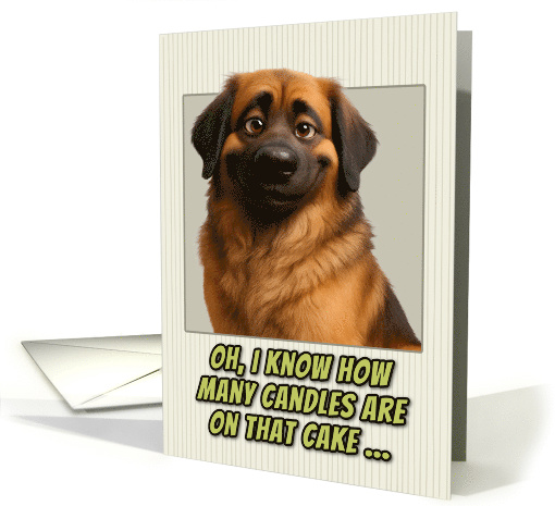 Leonberger Dog Humorous Getting Older Birthday card (1946120)