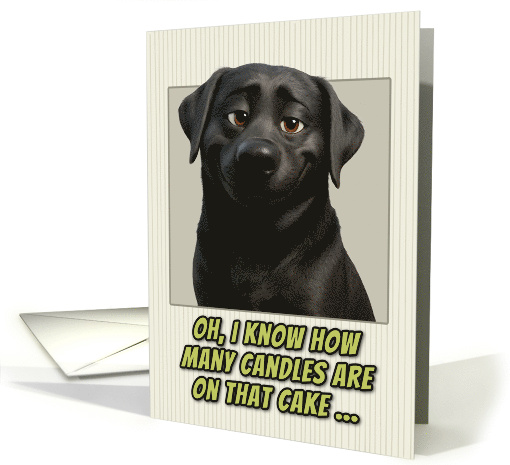 Black Labrador Retriever Dog Humorous Getting Older Birthday card