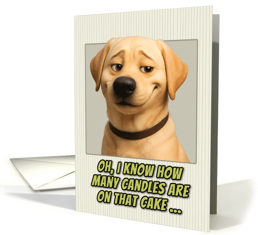 Yellow Labrador Retriever Dog Humorous Getting Older Birthday card