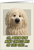 Komondor Dog Humorous Getting Older Birthday card