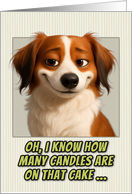 Kooikerhondje Humorous Getting Older Birthday card