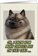 Keeshond Humorous Getting Older Birthday card
