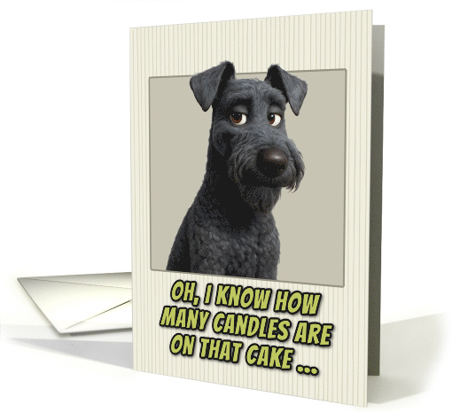 Kerry Blue Terrier Humorous Getting Older Birthday card (1946594)
