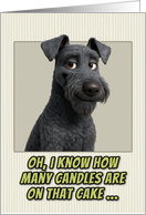 Kerry Blue Terrier Humorous Getting Older Birthday card