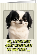 Japanese Chin Dog Humorous Getting Older Birthday card