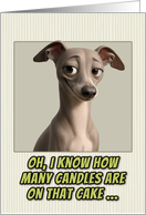 Italian Greyhound Humorous Getting Older Birthday card