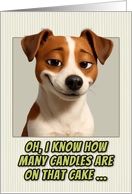 Jack Russell Terrier Dog Humorous Getting Older Birthday card