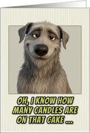 Irish Wolfhound Humorous Getting Older Birthday card