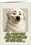 Great Pyranees Dog Humorous Getting Older Birthday card