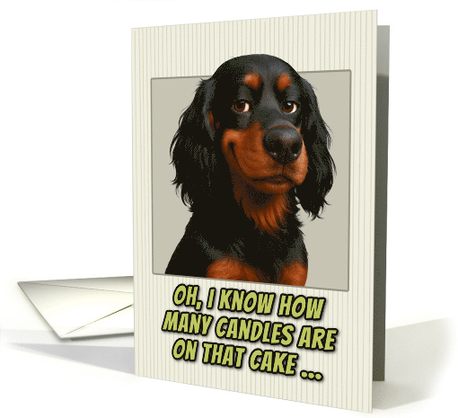 Gordon Setter Dog Humorous Getting Older Birthday card (1946760)