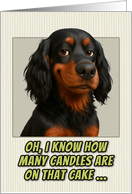 Gordon Setter Dog Humorous Getting Older Birthday card