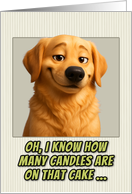 Golden Retriever Dog Humorous Getting Older Birthday card