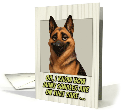 German Shepherd Dog Humorous Getting Older Birthday card (1946764)