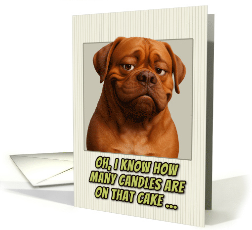 Dogue de Bordeaux Humorous Getting Older Birthday card (1947026)