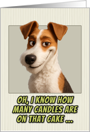 Fox Terrier Dog Humorous Getting Older Birthday card