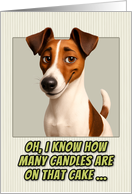 Fox Terrier Dog Humorous Getting Older Birthday card