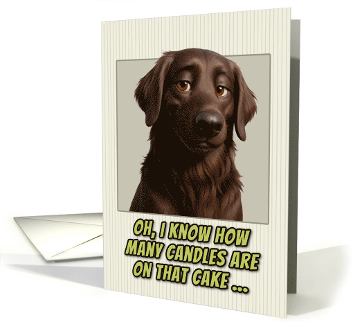 Flat Coated Retriever Dog Humorous Getting Older Birthday card