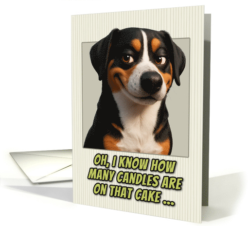 Entlebucher Mountain Dog Humorous Getting Older Birthday card