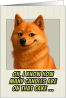 Finnish Spitz Dog Humorous Getting Older Birthday card