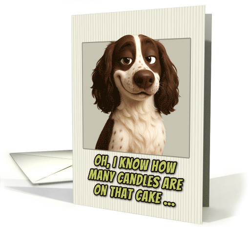 English Springer Spaniel Dog Humorous Getting Older Birthday card