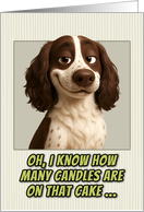 English Springer Spaniel Dog Humorous Getting Older Birthday card