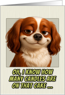 English Toy Spaniel Dog Humorous Getting Older Birthday card