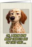 English Setter Dog Humorous Getting Older Birthday card