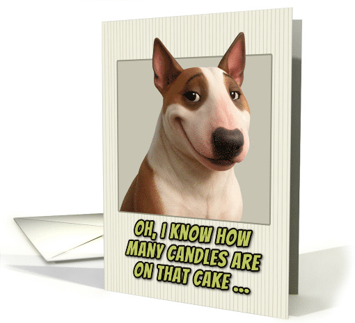 Bull Terrier Dog Humorous Getting Older Birthday card (1947048)