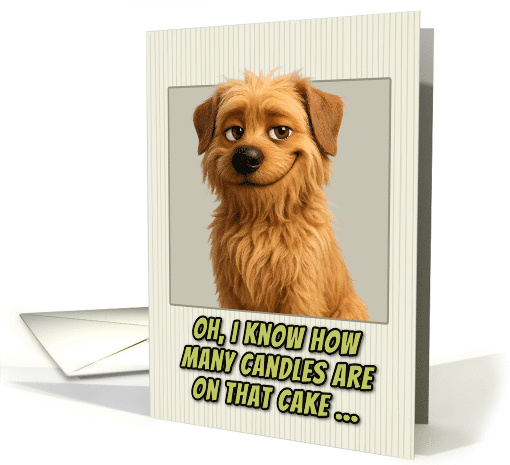 Dutch Smoushond Humorous Getting Older Birthday card (1947052)
