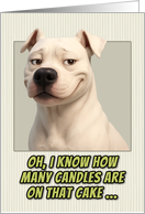 Dogo Argentino Dog Humorous Getting Older Birthday card