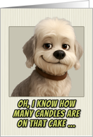 Dandie Dinmont Terrier Dog Humorous Getting Older Birthday card